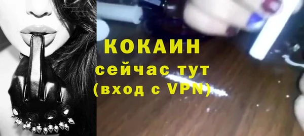 шишки Арсеньев