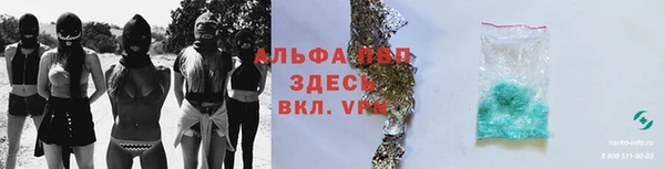 шишки Арсеньев
