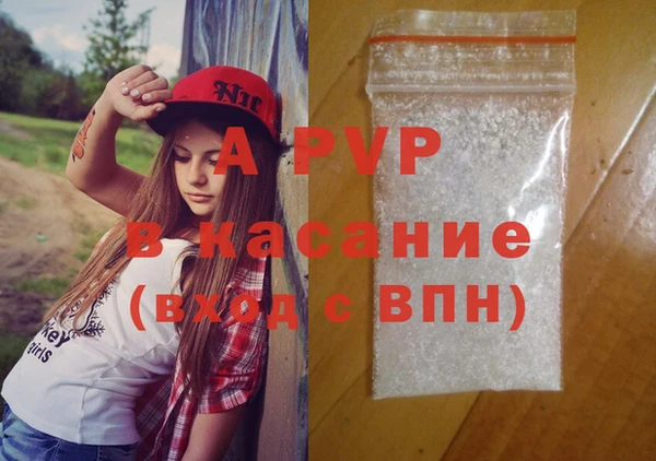 шишки Арсеньев