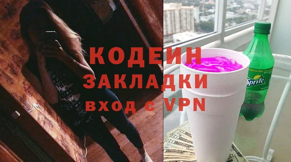 шишки Арсеньев