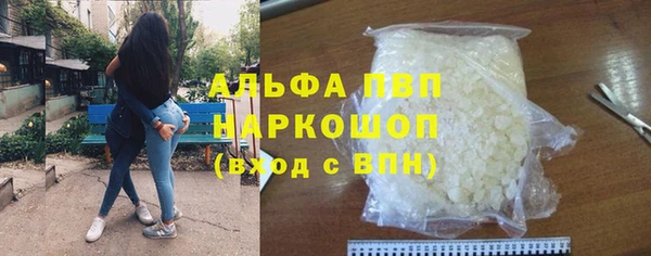 шишки Арсеньев