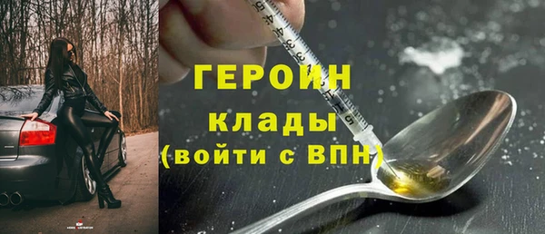 шишки Арсеньев
