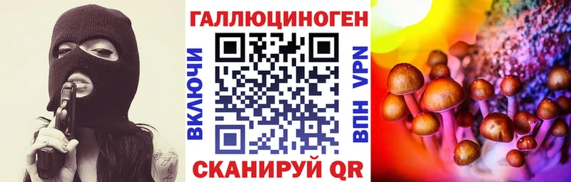 Псилоцибиновые грибы Psilocybine cubensis как найти закладки Чапаевск